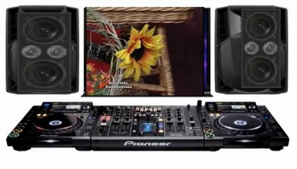 PROFESIONAL LA PETRECERE DAMBOVITEANA-COLAJ