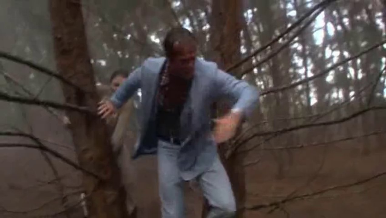 L'Empire des fourmis géantes (1977) - "On va faire des groupes de un"