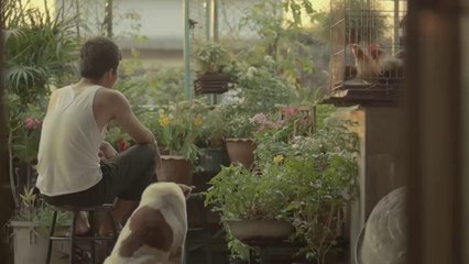 İzleyebileceğiniz En Anlamlı Videolardan Biri..