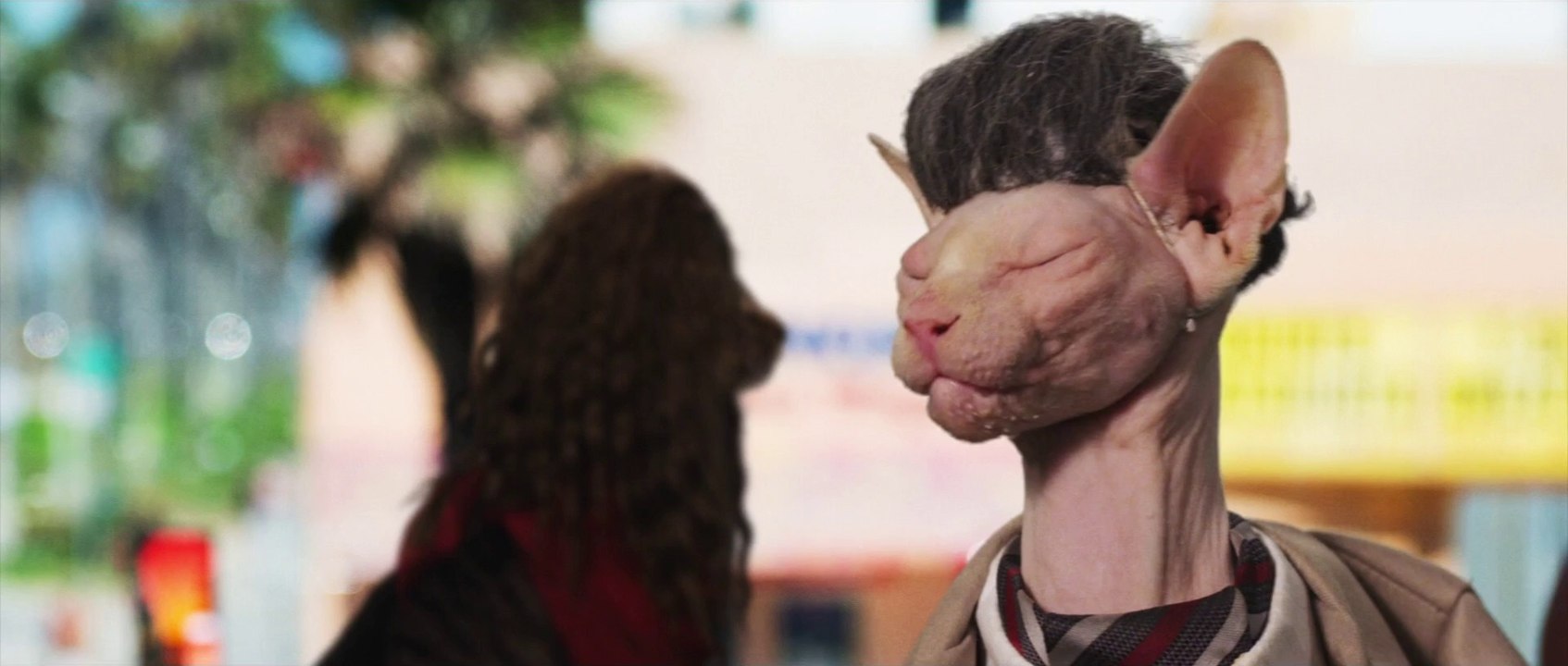 Trailer: 7 Psychocats