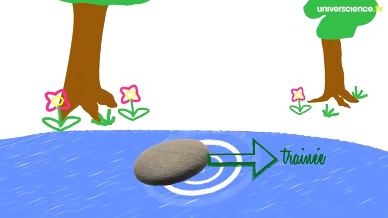Pourquoi un galet plat ricoche sur l’eau