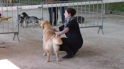 Expo de Montauban 2014 - First