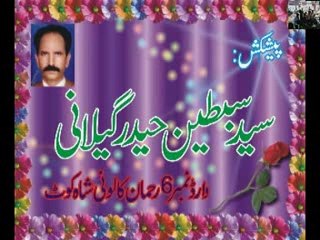 School No.4 Shahkot 2012-08