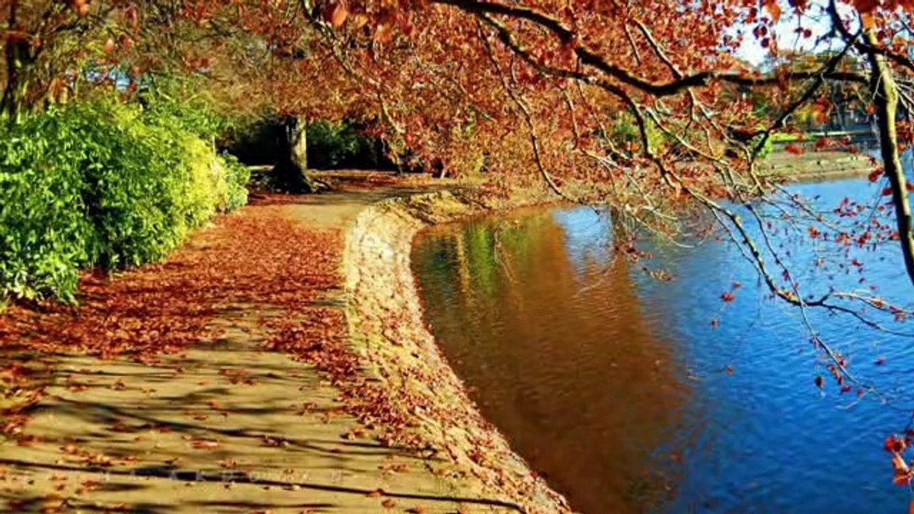 BAHADIR ÖZÜŞEN-ANLA ARTIK ANLA BENİ