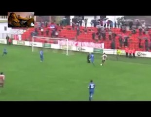 FC JAVOR IVANJICA - FC VOJVODINA  2-1