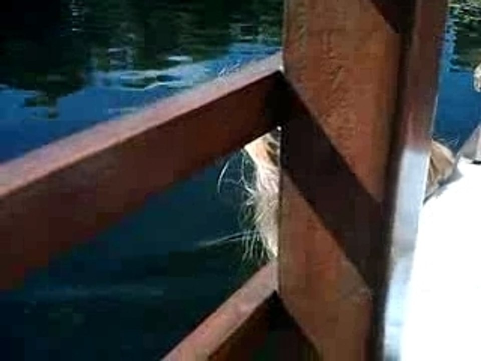fil de l'eau