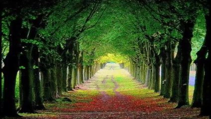 MUZAFFER GÜRLER- DERMANE DİLUCANA