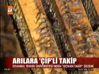 ATV - Arılara Çipli Takip