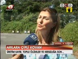 KANAL A - Arı Kovanlarına Çipli Takip