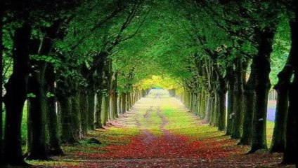 MUZAFFER GÜRLER - SEYDA  DELALE