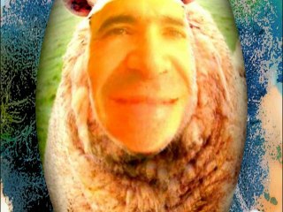 JAMES DOWN KUNG FU FIGHT !( YOU CAN'T CATCH ME NOW )