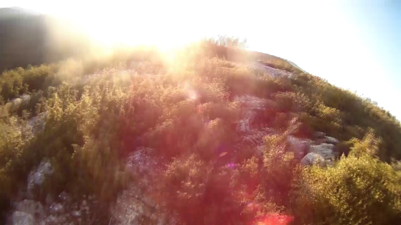 bes para tufek on paralık köpek vol1