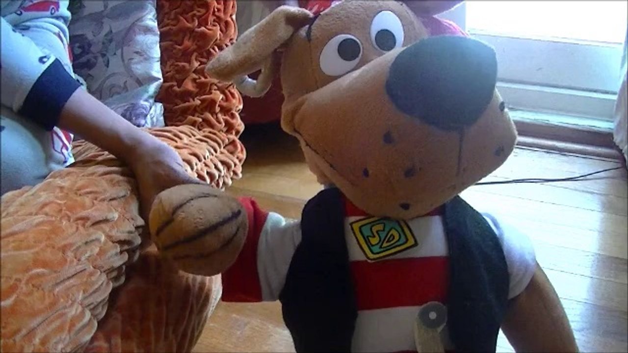 Scooby Doo The Referee