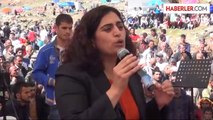 Hdp'li Tuncer: Artık Kürdistan'ı Talep Etmeyeceğiz, İnşaa Edeceğiz
