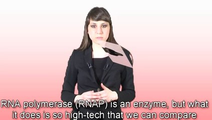 Protein Synthesis is Impossible to Explain Through Evolutionary Mechanisms.veg