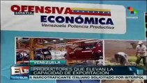 Productores venezolanos dan propuestas para incrementar la producción