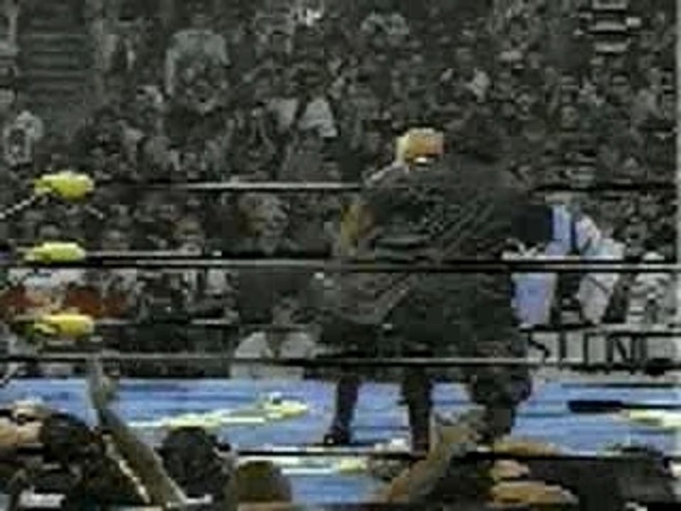 wwe *wcw* -STING vs. NWO