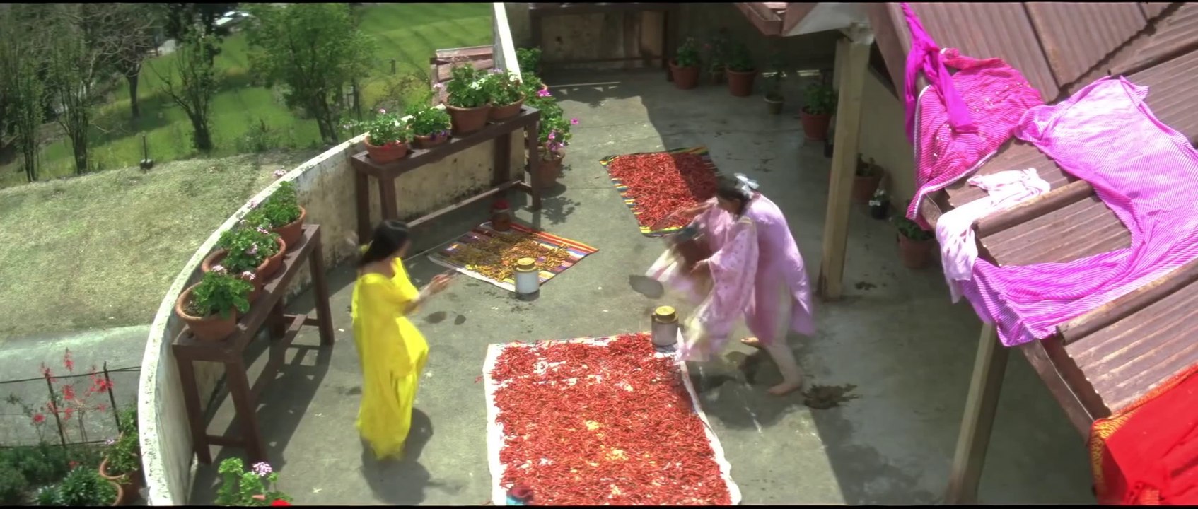 O Jiji - Shahid Kapoor & Amrita Rao - Vivah
