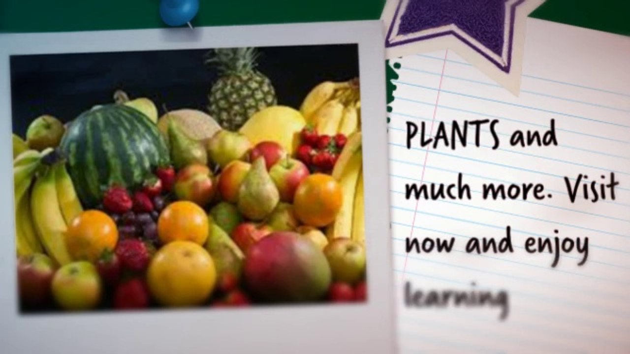 fun easy science site for preschool up to elementary school kids