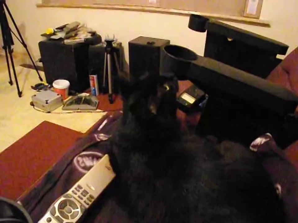 HollowMan Fly buzzing Sooty reacts