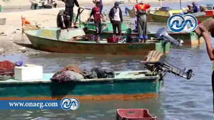 شاهد .. محافظ شمال سيناء يفتتح موسم الصيد ببحيرة البردويل