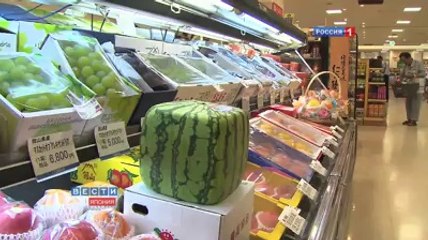 Square watermelon