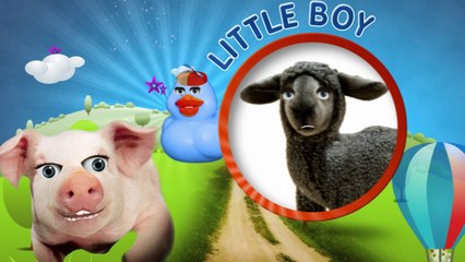 Nursery Rhyme Baa Baa Black Sheep Nursery Rhymes with Lyrics - Kids Songs