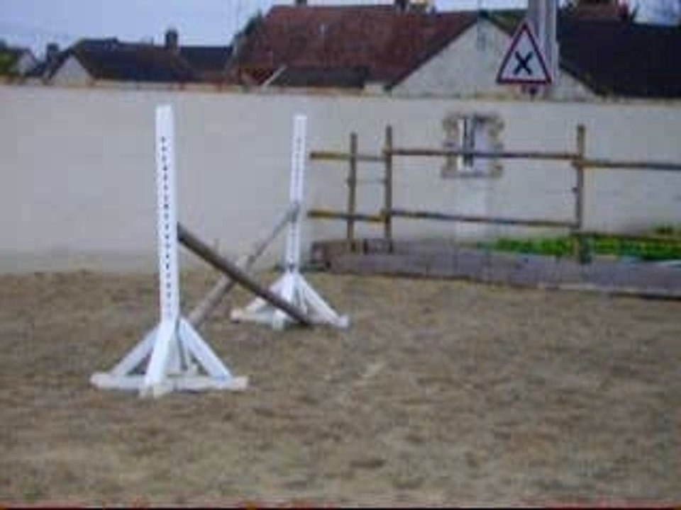IMGP1130