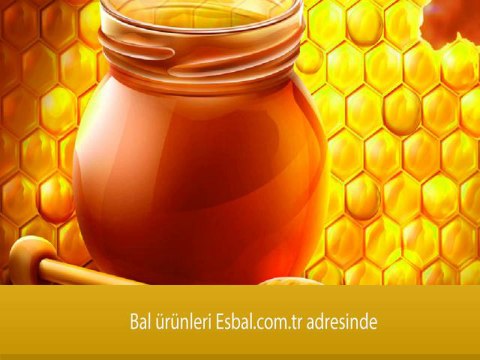 Bal Arıların Neresinden Çıkar