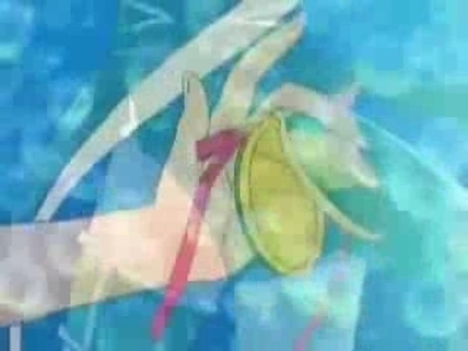 Tokyomewmewfusion