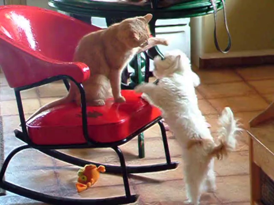 Minou & Tina