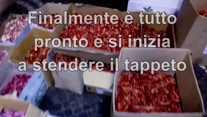 Il Secondo viale melina per San Ciro - Portici (NA) - Italia