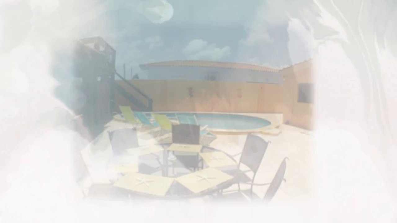 Your Dream Vacation in Aruba