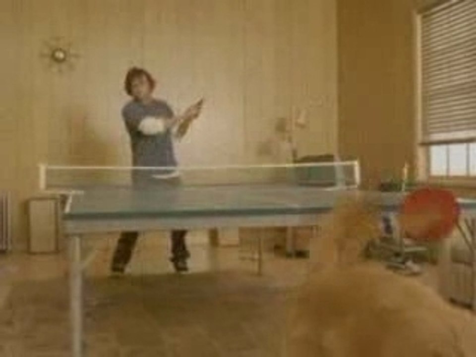Pingpong