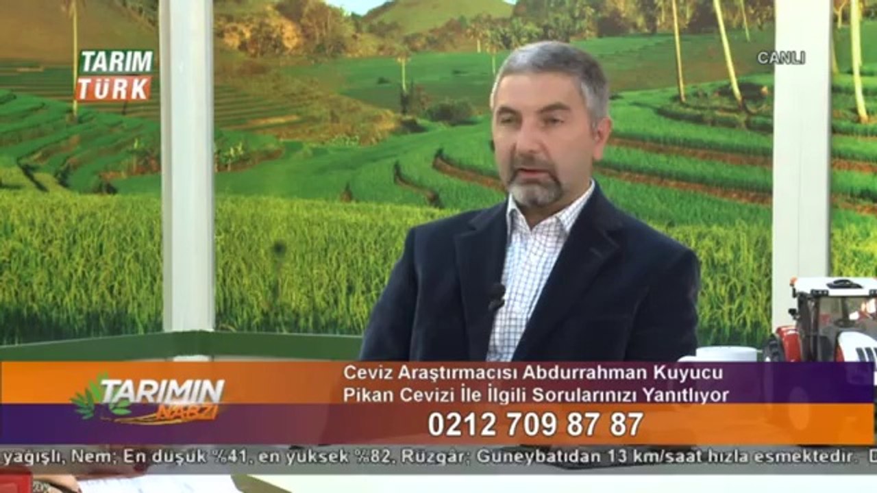 Pikan Cevizi -  (1)