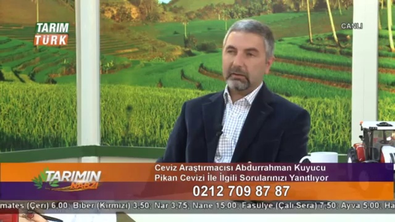 pikan cevizi-  (3)