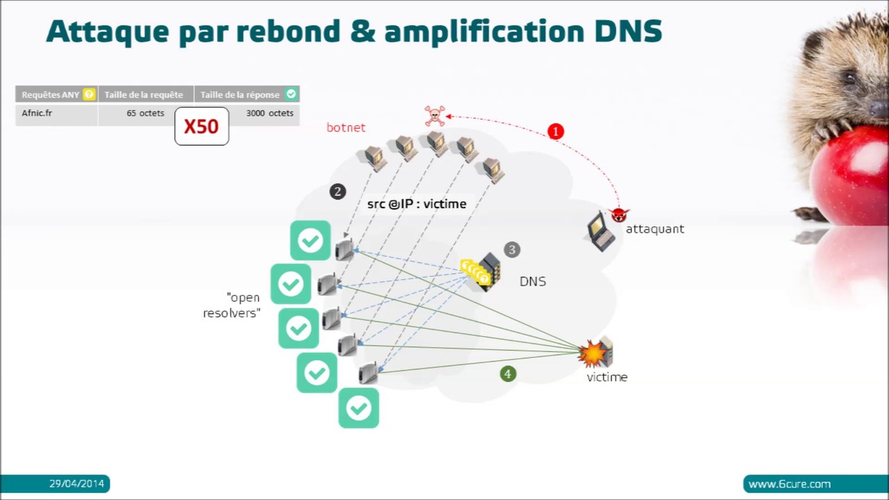 [Episode 2] Attaque DDoS par rebond et amplification DNS