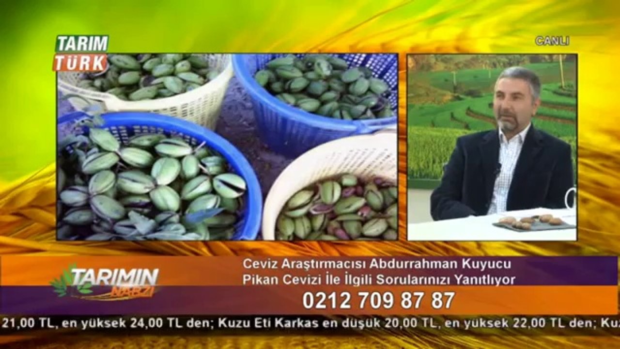 Pikan cevizi-