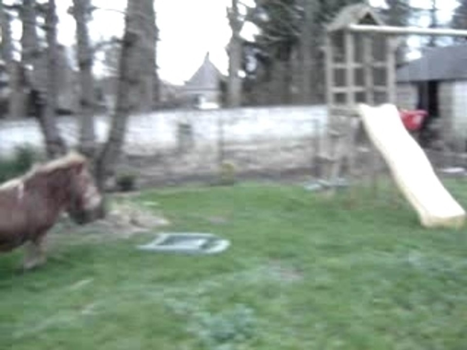 MOV03003