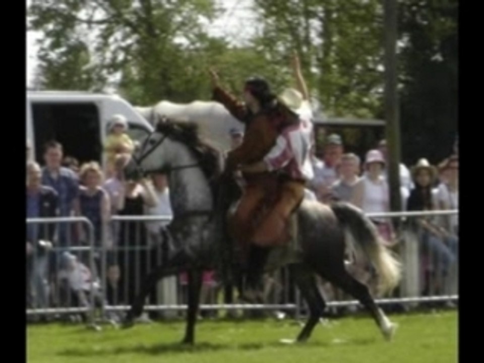 Cavaliers du Feu