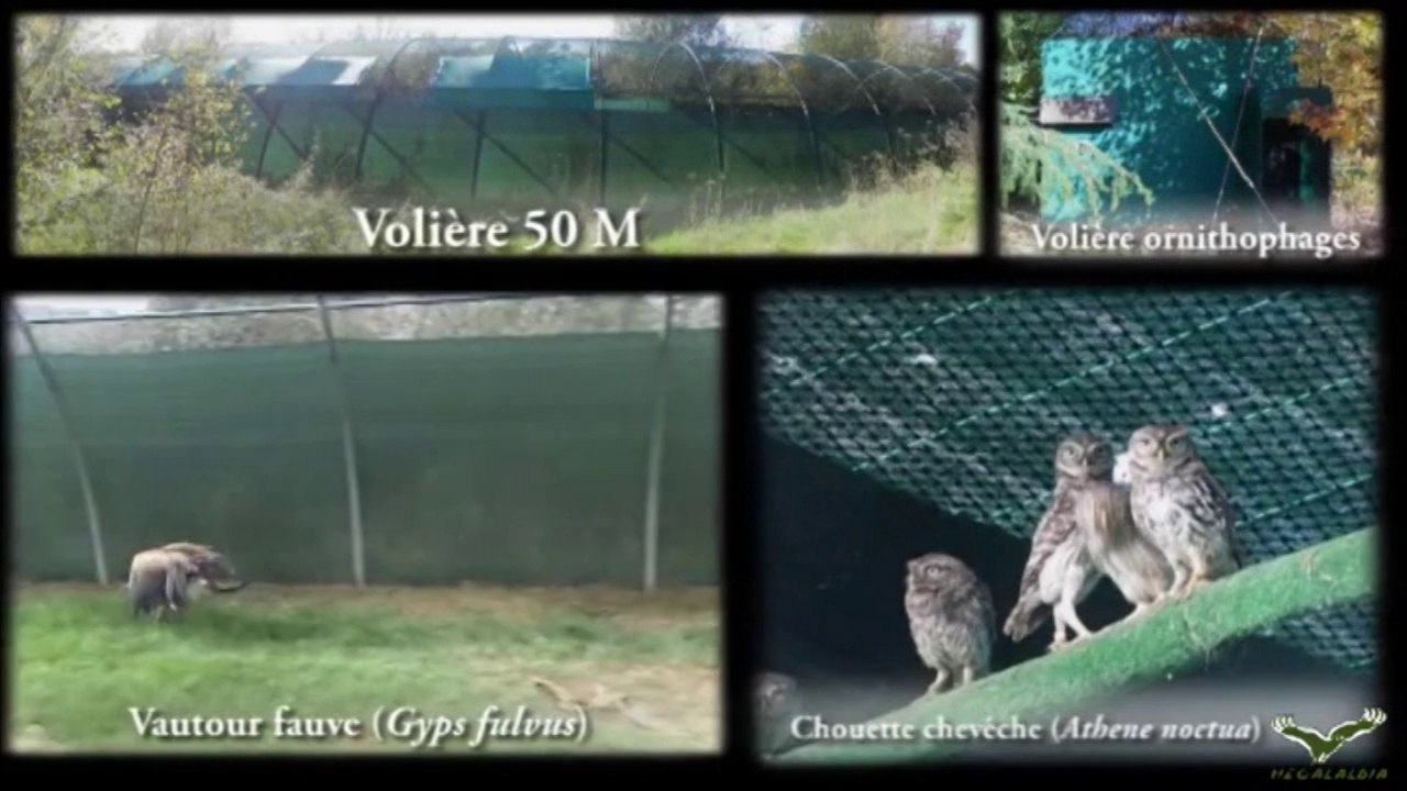 Présentation Hegalaldia