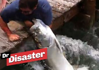 Un énorme poisson gobe le bras d'un pêcheur / Dr Disaster