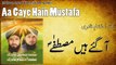 Muhammad Ehtesham Qadri - Aa Gaye Hain Mustafa - Official Video
