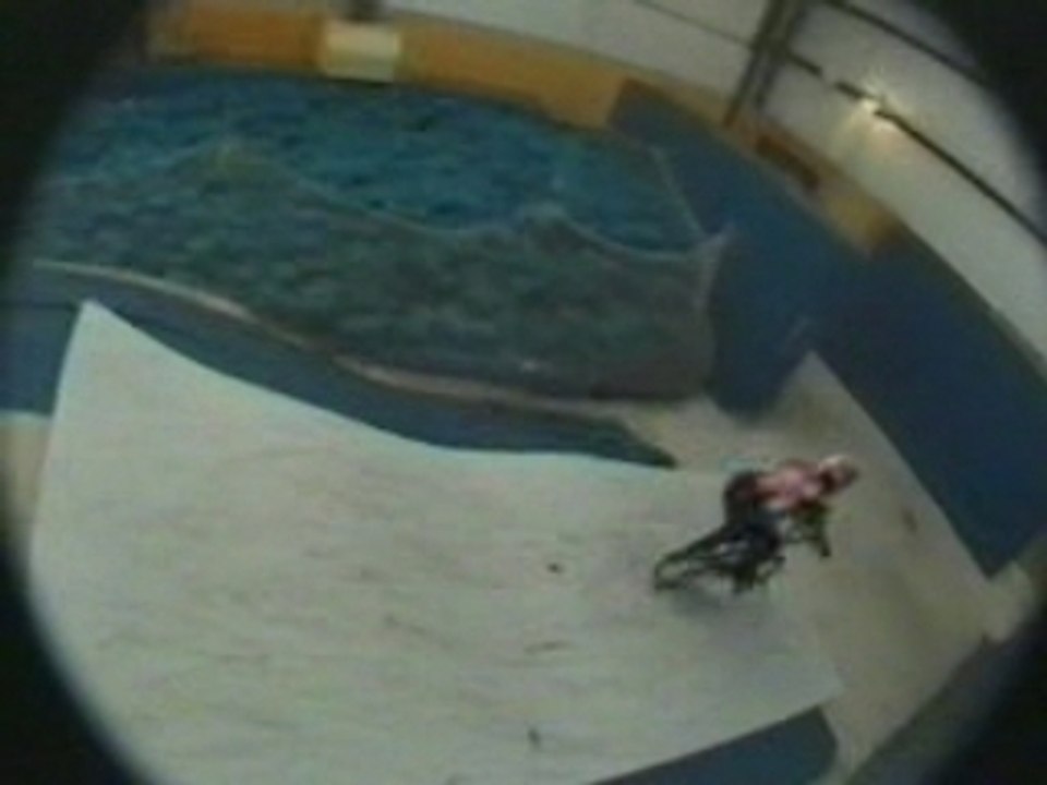 BMX - Dave Mirra Double Backflip
