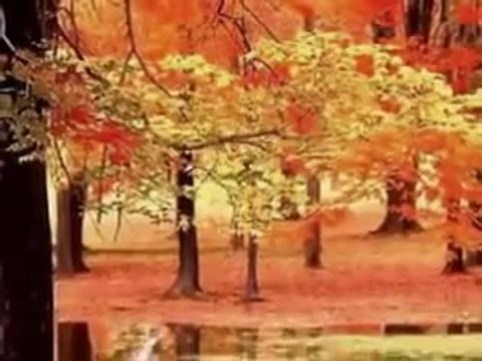 dini islami düğün nişan sünnet organizasyonu SON PİŞMANLIK- HİDAYET DOĞAN