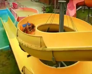 Zjeżdżalnia Roller Coaster - Aquapark Tatralandia