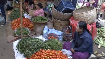 Myanmar : un village birman
