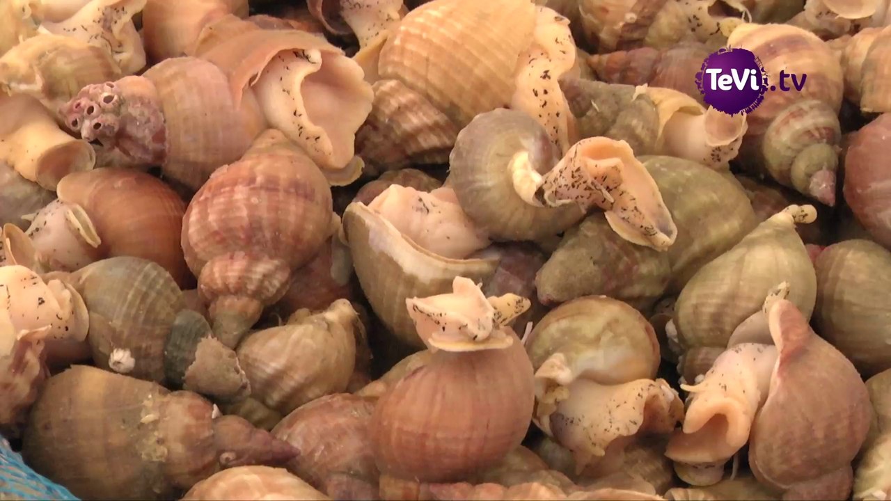 Foire aux bulots de Pirou [TéVi] 05-05-14