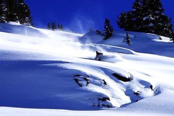 Baker Boyds from Co-Lab Contest - Ski