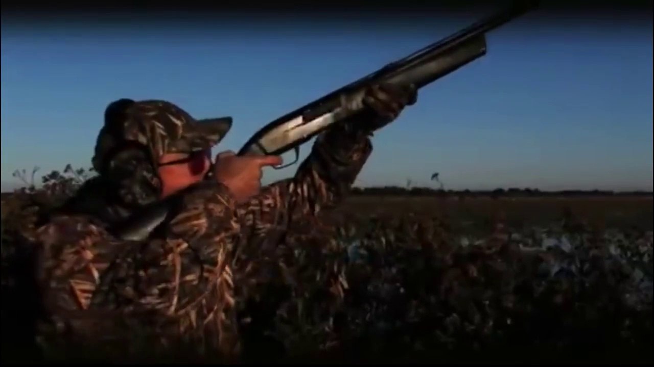 Browning Maxus Officiel